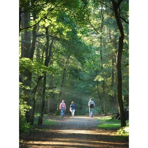 Vera van de Ven image 3