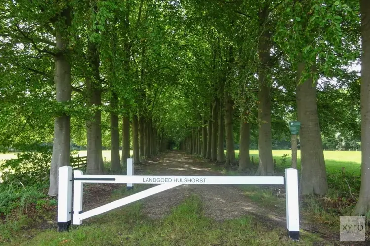 Denk mee over een landgoedvisie voor Landgoed Hulshorst