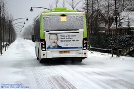 Winterse zondag in beeld