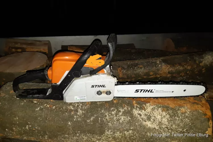 Doornspijker (41) aangehouden voor illegaal hout kappen in Nunspeets bos