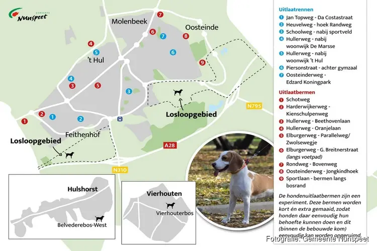 Opruim- en aanlijnplicht voor honden binnen de bebouwde kom