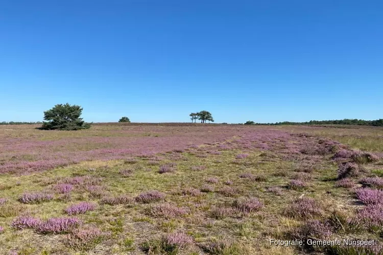 Meepraten over recreatiezonering op de Veluwe