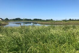 Eerste Inspiratiedag Geestmerloo groot succes