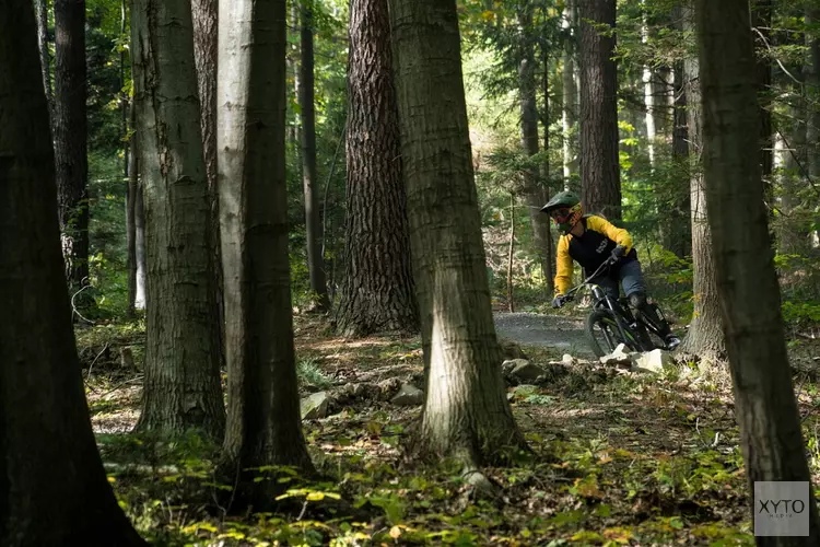 Actie tegengaan mtb-avondactiviteiten in natuurgebieden