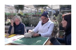 Dierenshow bij Tuincentrum GroenRijk