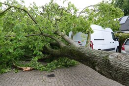 Storm in beeld: Poly zwaarste zomerstorm ooit gemeten