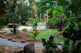 Op zoek naar een super leuk uitje? Kom gezellig minigolfen of wandel tussen de mooiste vlinders in Vlindorado