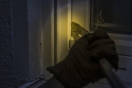 Vorig jaar 8,6% meer schuurinbraken in Gelderland