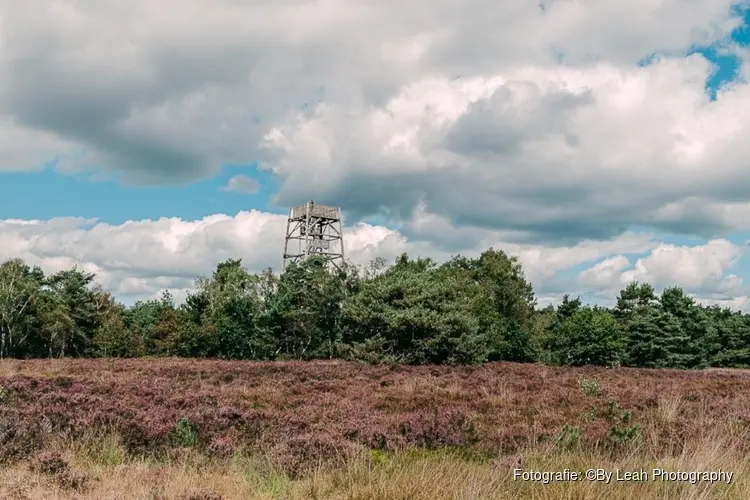 Nieuwe uitkijktoren Stakenberg mogelijk op andere locatie