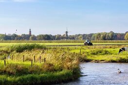 Biodiversiteit in bossen en moerassen wordt beter