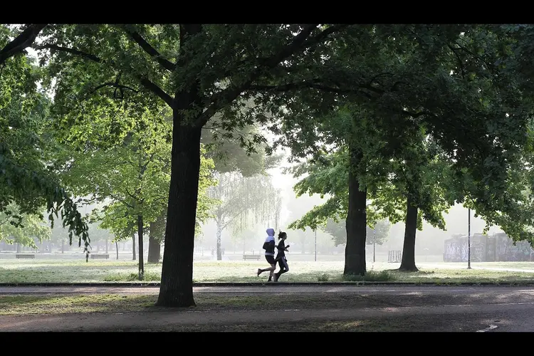 Gelderlanders steeds minder actief: minder dan helft voldoet aan beweegrichtlijn