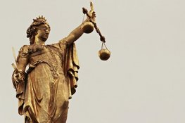 Gevangenisstraf voor vernielen gemeentehuis tijdens demonstratie in Loosdrecht
