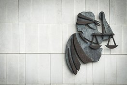 5 jaar cel geëist voor gewelddadige woningoverval in Elburg