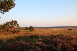Overheden starten uitvoering Aanpak Veluwe