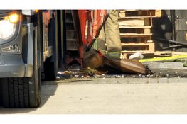 Brand in papiercontainer bij Stella in Nunspeet