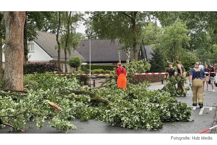 Blikseminslag richt schade aan bomen in Nunspeet