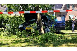 BMW raakt middengeleider, verkeersbord, boom en lantaarnpaal in Elspeet; bestuurder met spoed naar ziekenhuis
