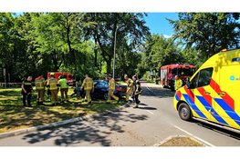 BMW raakt middengeleider, verkeersbord, boom en lantaarnpaal in Elspeet; bestuurder met spoed naar ziekenhuis