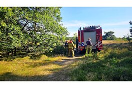 Opnieuw heidebrand aan ’t Frusselt in Vierhouten, brandweer vermoedt brandstichting