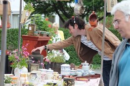 Curiosa, boeken en Antiekmarkten Putten