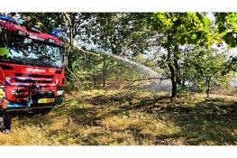 Bosbrand bij Vierhouten snel onder controle, politie onderzoekt mogelijke brandstichting