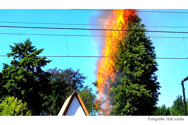 Boom in brand aan Spoorlaan in Wezep, buurtbewoners voorkomen erger