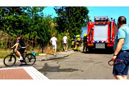 Boom in brand aan Spoorlaan in Wezep, buurtbewoners voorkomen erger