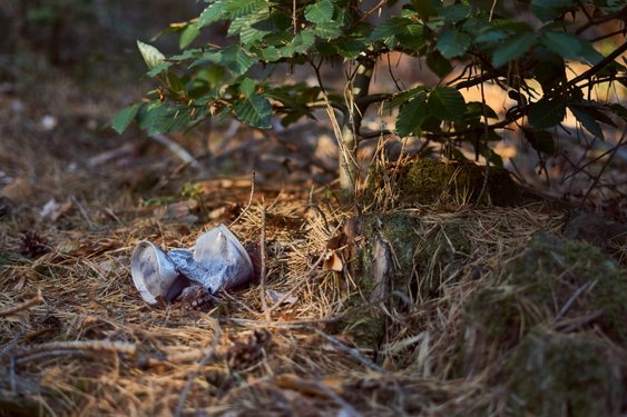 Noord-Veluwe in 1 dag schoon op 11 september