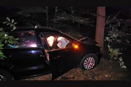 Automobilist botst bij Vierhouten tegen boom, bestuurder meegenomen naar bureau