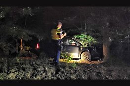 Automobilist botst bij Vierhouten tegen boom, bestuurder meegenomen naar bureau
