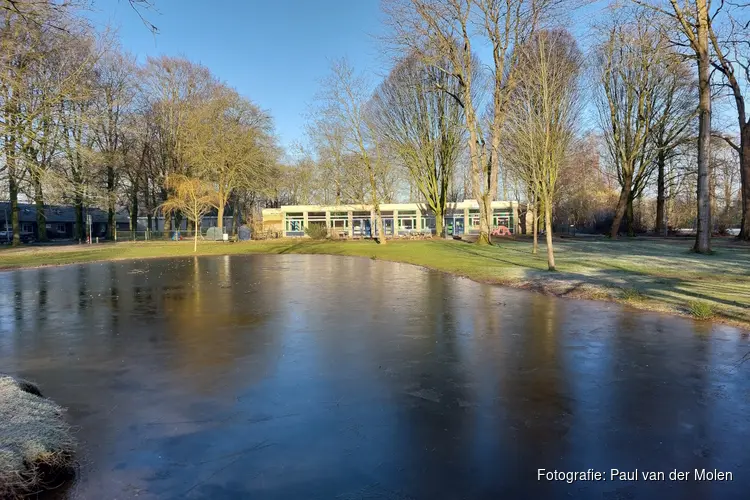 Aanvraagperiode geboortebomen 2026 van start