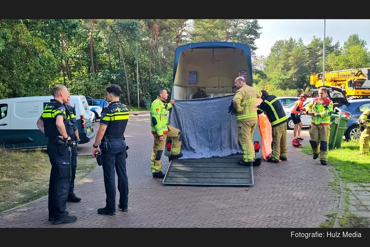 Paard overleden na ongeval in trailer op carpoolplaats bij Nunspeet