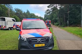 Paard overleden na ongeval in trailer op carpoolplaats bij Nunspeet