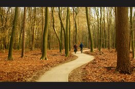 Provincie stemt over einde stikstofslot Veluwe