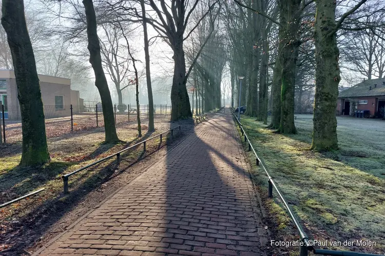 Nunspeet past regels voor monumentale bomen aan