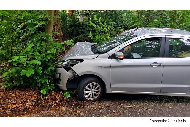 Auto botst tegen boom na uitwijken op Gortelseweg in Vierhouten