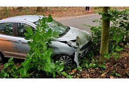 Auto botst tegen boom na uitwijken op Gortelseweg in Vierhouten