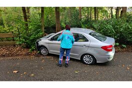 Auto botst tegen boom na uitwijken op Gortelseweg in Vierhouten