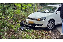 Automobilist wijkt uit voor dier en belandt tegen hekwerk in Hierden