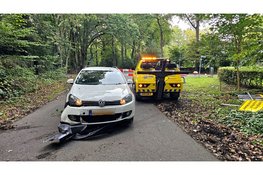 Automobilist wijkt uit voor dier en belandt tegen hekwerk in Hierden