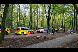 Twee mannen aangehouden na mishandeling in bos bij Hulshorst