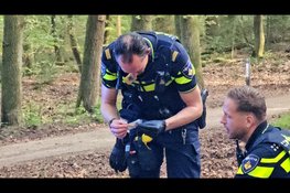Twee mannen aangehouden na mishandeling in bos bij Hulshorst