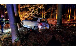 Auto raakt verkeerspaal en belandt in berm bij eenzijdig ongeval op Nunspeterweg in Elspeet