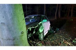 Auto raakt verkeerspaal en belandt in berm bij eenzijdig ongeval op Nunspeterweg in Elspeet