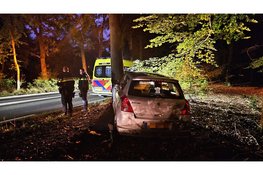 Auto raakt verkeerspaal en belandt in berm bij eenzijdig ongeval op Nunspeterweg in Elspeet