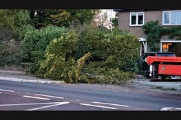 Vrachtwagen ramt boom en hekwerk bij school in Elburg, kinderen komen met schrik vrij