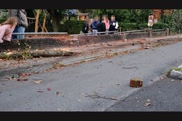 Vrachtwagen ramt boom en hekwerk bij school in Elburg, kinderen komen met schrik vrij
