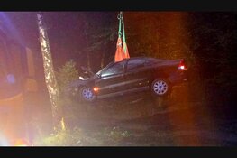 Drie gewonden na forse botsing tegen boom